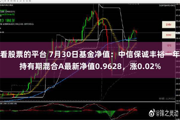 看股票的平台 7月30日基金净值：中信保诚丰裕一年持有期混合A最新净值0.9628，涨0.02%