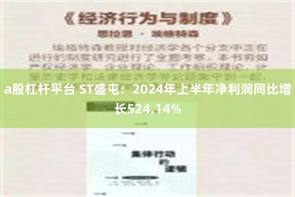 a股杠杆平台 ST盛屯：2024年上半年净利润同比增长524.14%