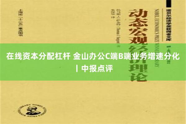 在线资本分配杠杆 金山办公C端B端业务增速分化丨中报点评