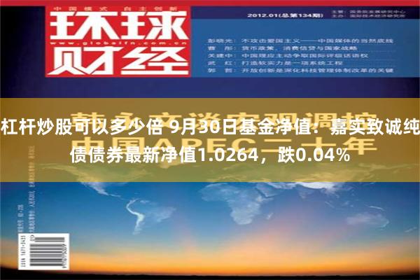 杠杆炒股可以多少倍 9月30日基金净值：嘉实致诚纯债债券最新净值1.0264，跌0.04%