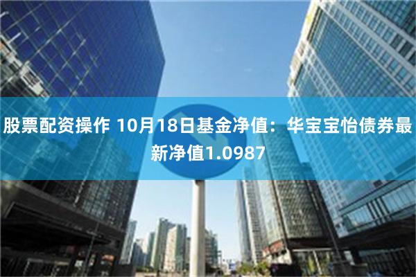 股票配资操作 10月18日基金净值：华宝宝怡债券最新净值1.0987