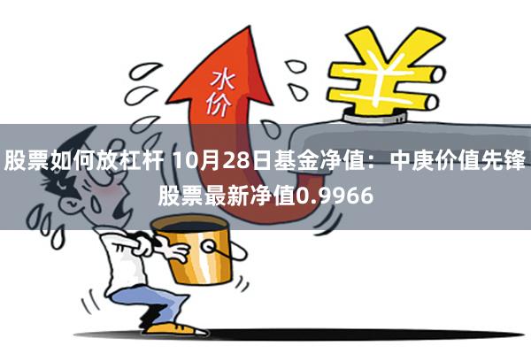 股票如何放杠杆 10月28日基金净值：中庚价值先锋股票最新净值0.9966