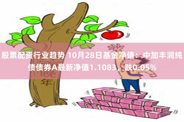 股票配资行业趋势 10月28日基金净值：中加丰润纯债债券A最新净值1.1083，跌0.05%