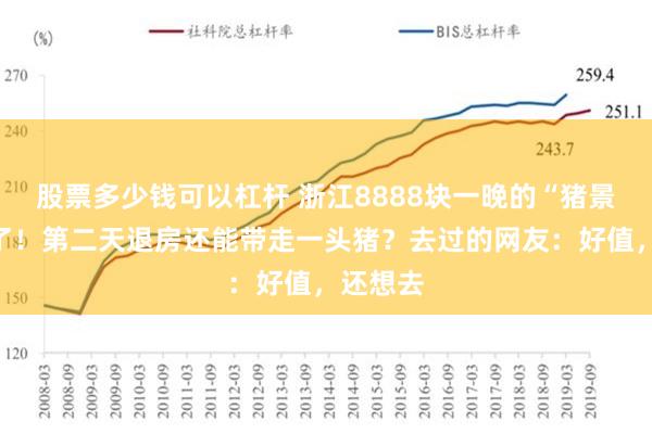 股票多少钱可以杠杆 浙江8888块一晚的“猪景房”火了！第二天退房还能带走一头猪？去过的网友：好值，还想去