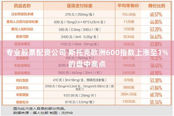 专业股票配资公司 斯托克欧洲600指数上涨至1%的盘中高点