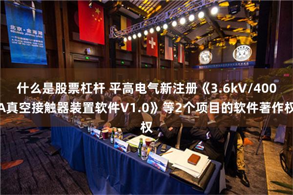 什么是股票杠杆 平高电气新注册《3.6kV/400A真空接触器装置软件V1.0》等2个项目的软件著作权